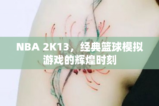 NBA 2K13，经典篮球模拟游戏的辉煌时刻