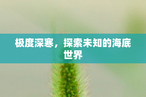极度深寒，探索未知的海底世界