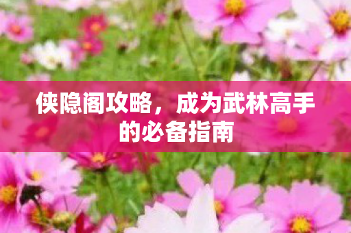 侠隐阁攻略，成为武林高手的必备指南