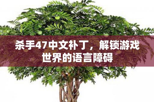 杀手47中文补丁，解锁游戏世界的语言障碍