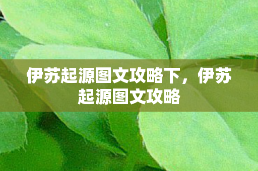 伊苏起源图文攻略下图片