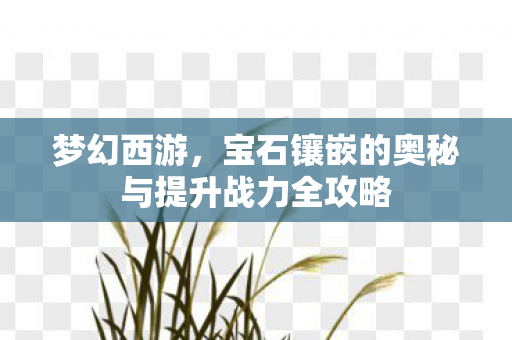 宝石镶嵌的奥秘与提升战力全攻略图片