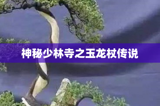 神秘少林寺之玉龙杖传说