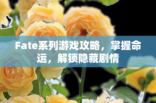 Fate系列游戏攻略，掌握命运，解锁隐藏剧情