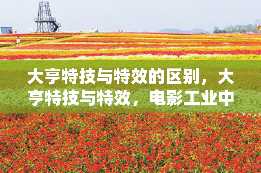 大亨特技与特效的区别图片