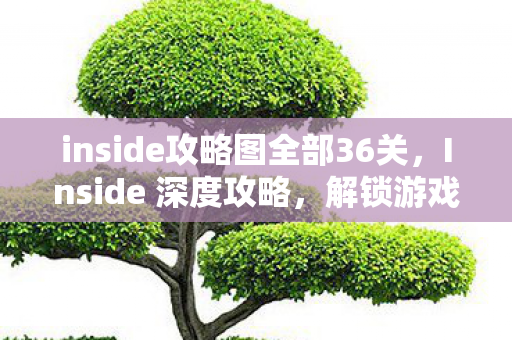 inside攻略图全部36关，Inside 深度攻略，解锁游戏世界的隐藏秘密
