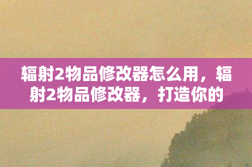 辐射2物品修改器怎么用，辐射2物品修改器，打造你的游戏世界