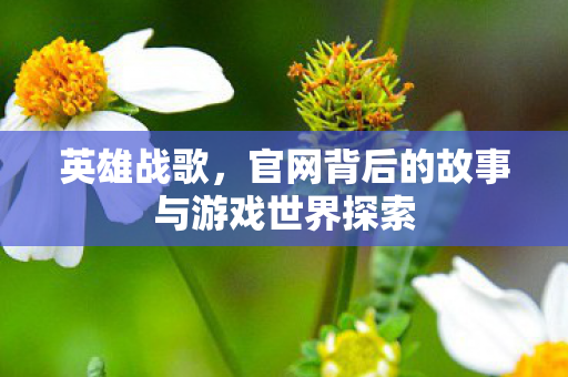 英雄战歌，官网背后的故事与游戏世界探索
