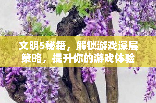 文明5秘籍，解锁游戏深层策略，提升你的游戏体验