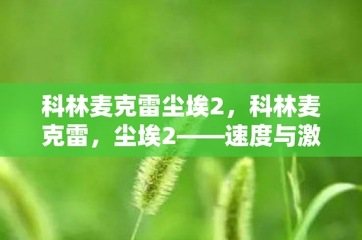 速度与激情的终极体验图片