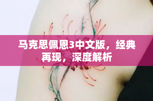 马克思佩恩3中文版，经典再现，深度解析