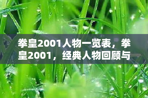 拳皇2001人物一览表,拳皇2001,经典人物回顾与解析 拳皇2001人物一览表,拳皇2001,经典人物回顾与解析