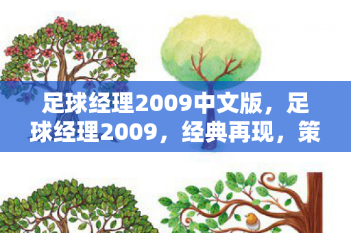 足球经理2009中文版，足球经理2009，经典再现，策略与激情的碰撞
