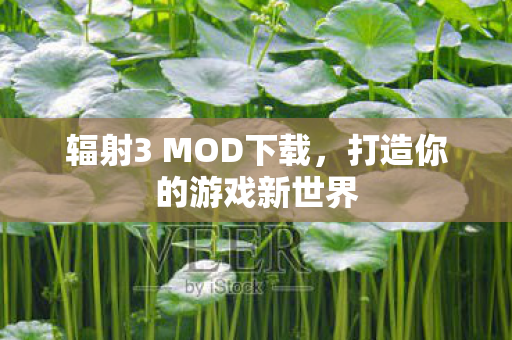 辐射3 MOD下载，打造你的游戏新世界