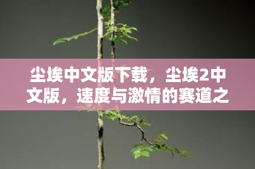 尘埃中文版下载，尘埃2中文版，速度与激情的赛道之旅