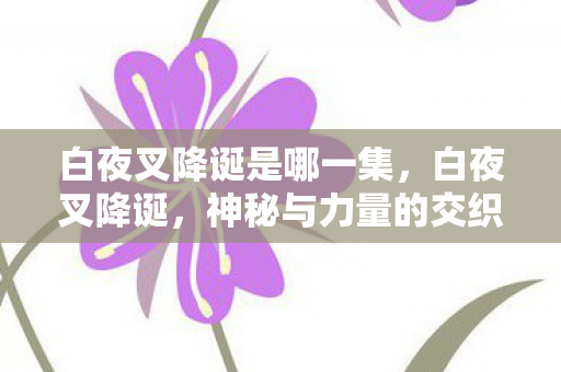 白夜叉降诞是哪一集，白夜叉降诞，神秘与力量的交织