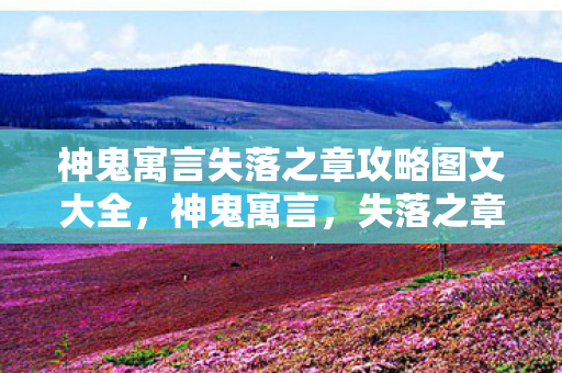 神鬼寓言失落之章攻略图文大全，神鬼寓言，失落之章攻略