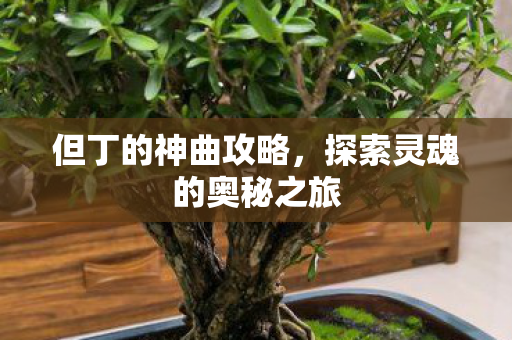 但丁的神曲攻略，探索灵魂的奥秘之旅