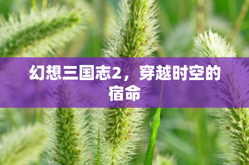 穿越时空的宿命图片