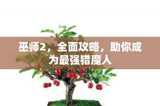 巫师2，全面攻略，助你成为最强猎魔人