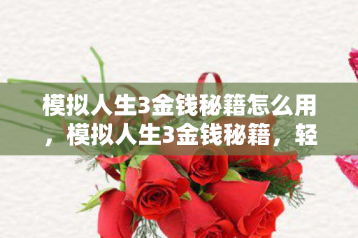 模拟人生3金钱秘籍怎么用，模拟人生3金钱秘籍，轻松赚取百万财富