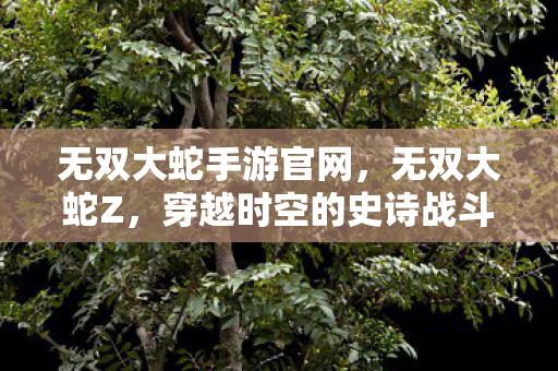 无双大蛇手游官网，无双大蛇Z，穿越时空的史诗战斗