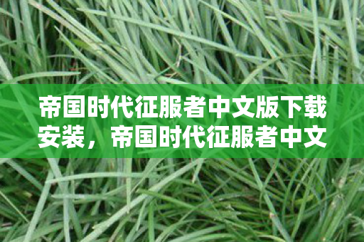 帝国时代征服者中文版下载安装，帝国时代征服者中文版下载指南