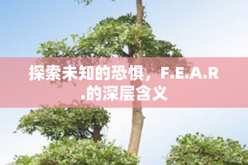 探索未知的恐惧，F.E.A.R.的深层含义