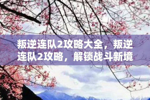 叛逆连队2攻略大全，叛逆连队2攻略，解锁战斗新境界