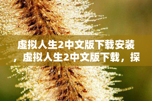 虚拟人生2中文版下载安装，虚拟人生2中文版下载，探索无限可能的数字世界