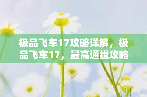 极品飞车17攻略详解，极品飞车17，最高通缉攻略