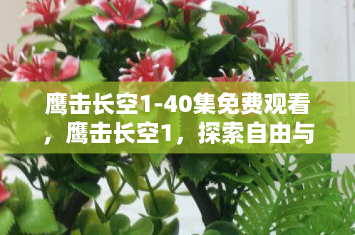 鹰击长空1-40集免费观看,鹰击长空1,探索自由与梦想的旅程 鹰击长空1-40集免费观看,鹰击长空1,探索自由与梦想的旅程