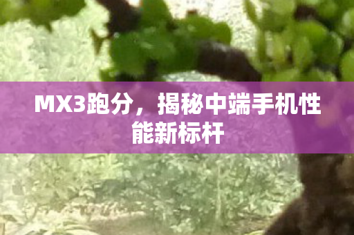 MX3跑分，揭秘中端手机性能新标杆