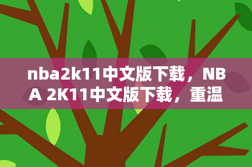 nba2k11中文版下载，NBA 2K11中文版下载，重温经典篮球游戏的魅力