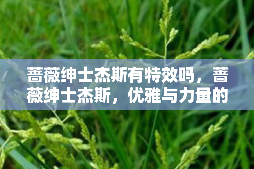 蔷薇绅士杰斯有特效吗,蔷薇绅士杰斯,优雅与力量的化身 蔷薇绅士杰斯有特效吗,蔷薇绅士杰斯,优雅与力量的化身