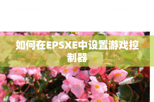 如何在EPSXE中设置游戏控制器 如何在EPSXE中设置游戏控制器