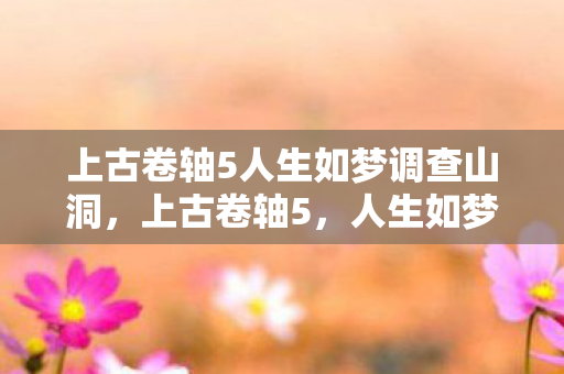 上古卷轴5人生如梦调查山洞图片
