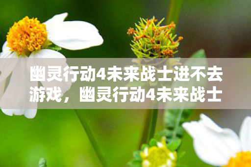 幽灵行动4未来战士进不去游戏,幽灵行动4未来战士无法进入的解决方法 幽灵行动4未来战士进不去游戏,幽灵行动4未来战士无法进入的解决方法