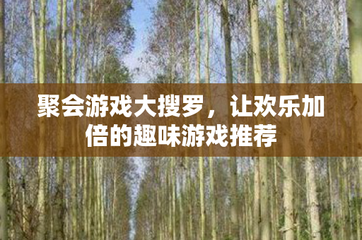 聚会游戏大搜罗，让欢乐加倍的趣味游戏推荐