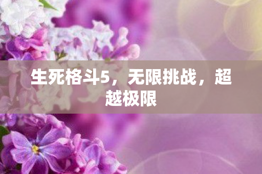 生死格斗5，无限挑战，超越极限
