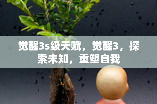 觉醒3s级天赋,觉醒3,探索未知,重塑自我 觉醒3s级天赋,觉醒3,探索未知,重塑自我