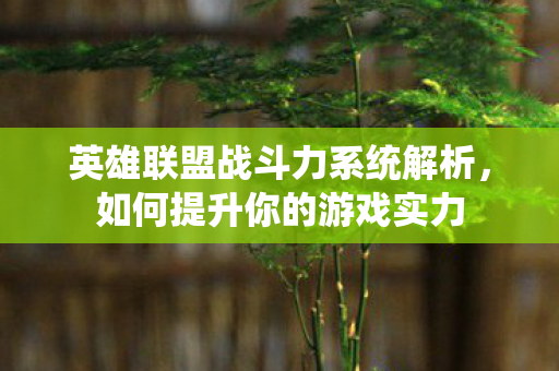 英雄联盟战斗力系统解析，如何提升你的游戏实力