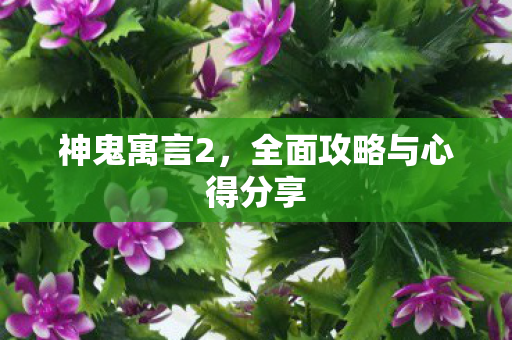 神鬼寓言2，全面攻略与心得分享