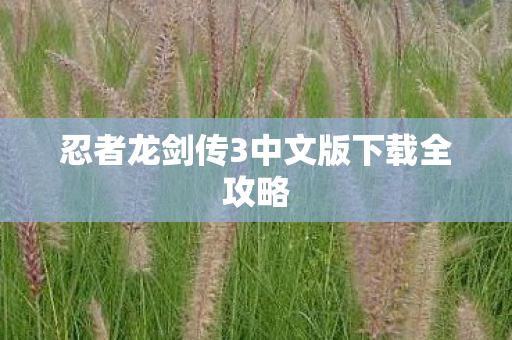 忍者龙剑传3中文版下载全攻略