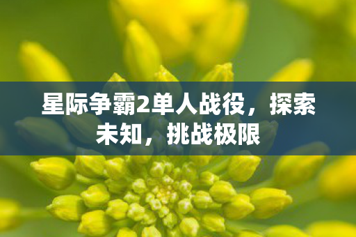 星际争霸2单人战役，探索未知，挑战极限