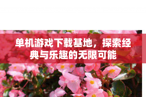 单机游戏下载基地，探索经典与乐趣的无限可能