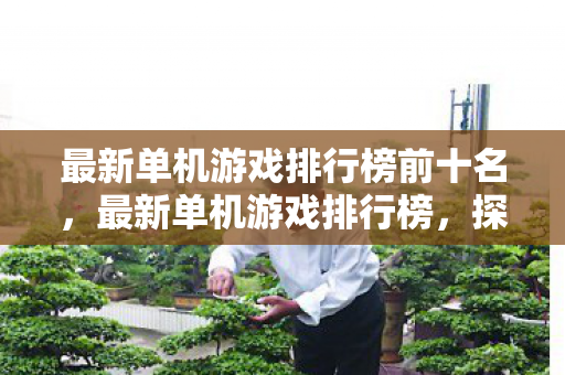 最新单机游戏排行榜前十名，最新单机游戏排行榜，探索独立游戏的魅力
