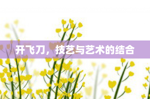 开飞刀，技艺与艺术的结合