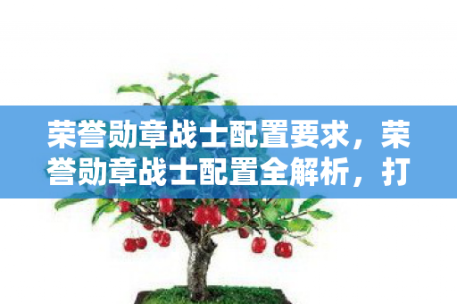荣誉勋章战士配置要求，荣誉勋章战士配置全解析，打造顶级游戏体验