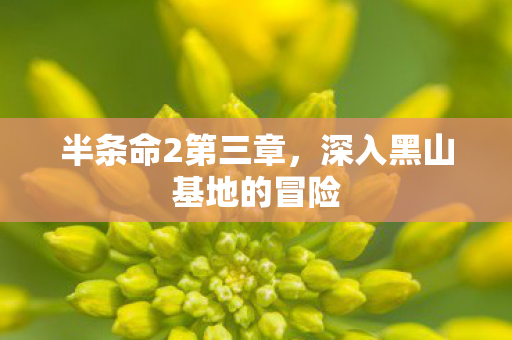 半条命2第三章,深入黑山基地的冒险 半条命2第三章,深入黑山基地的冒险